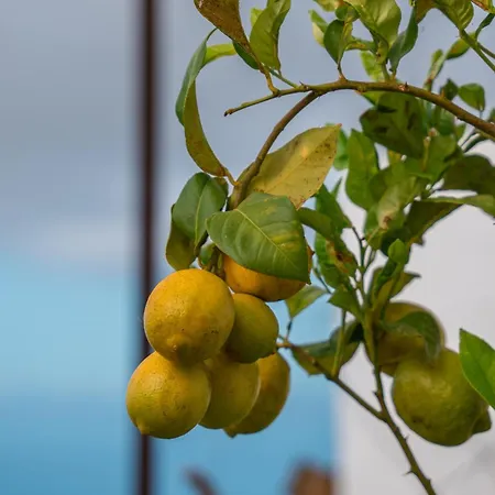 Σαλέ The Lemon Factory